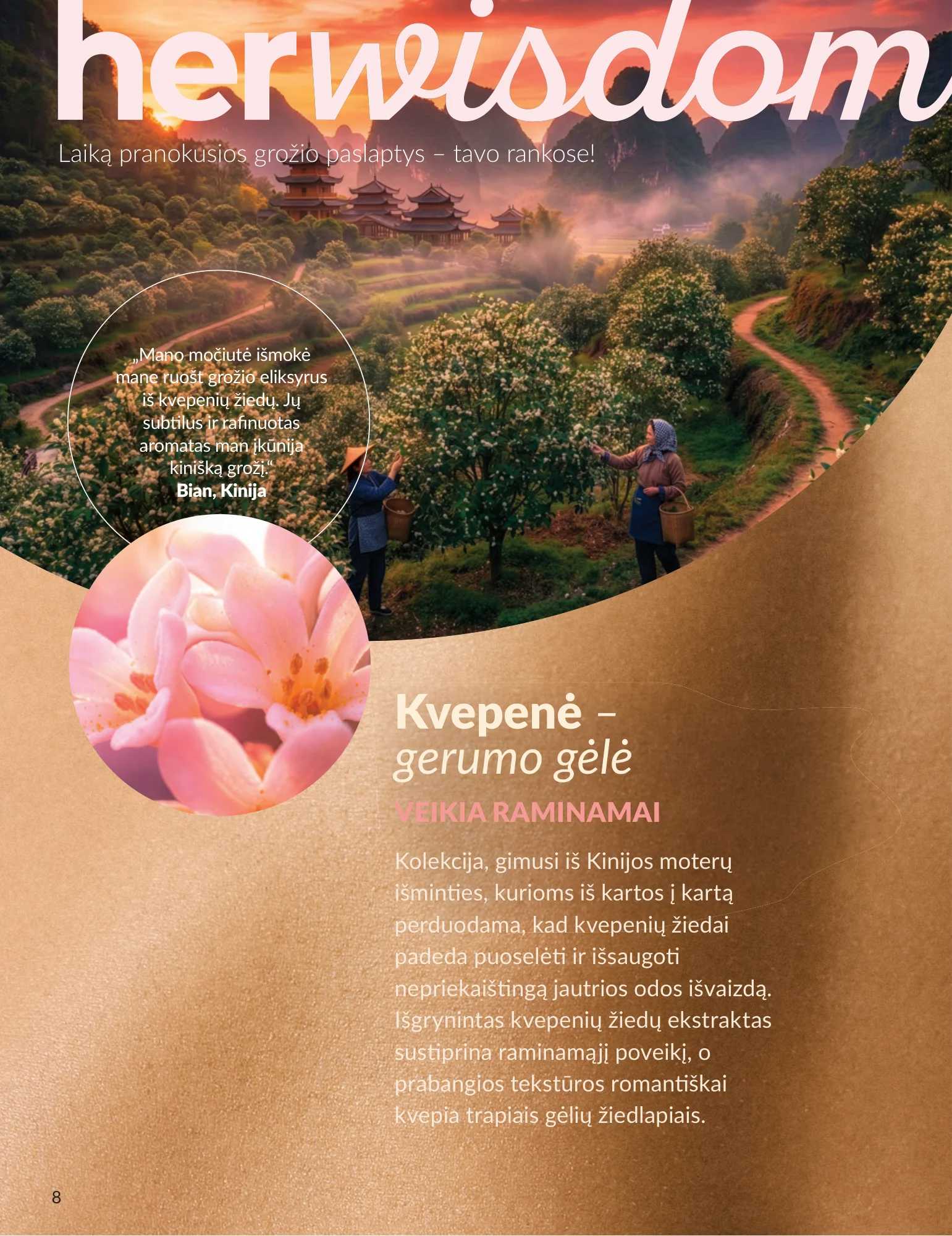 Avon akcijų leidinys, 8 puslapis