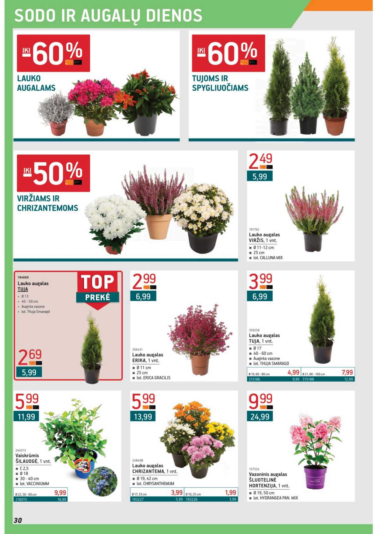 Ermitažas akcijų leidinys, 30 puslapis