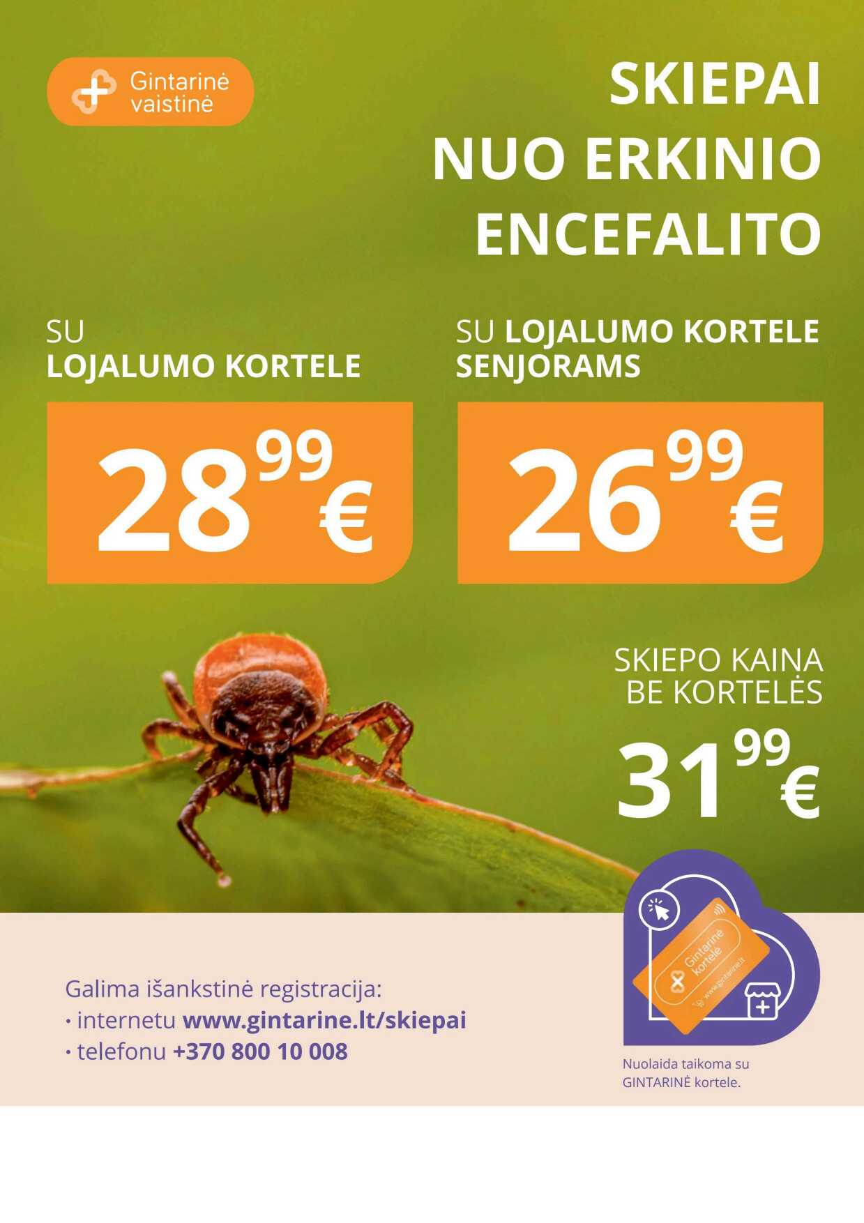 Leidinio puslapis