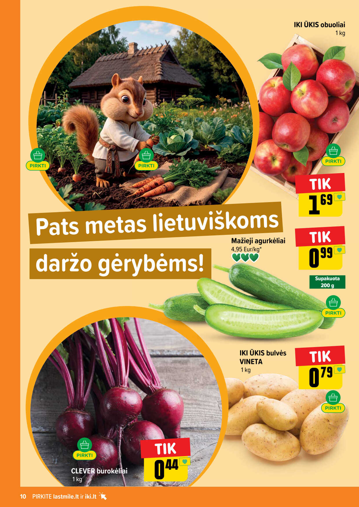 Leidinio puslapis