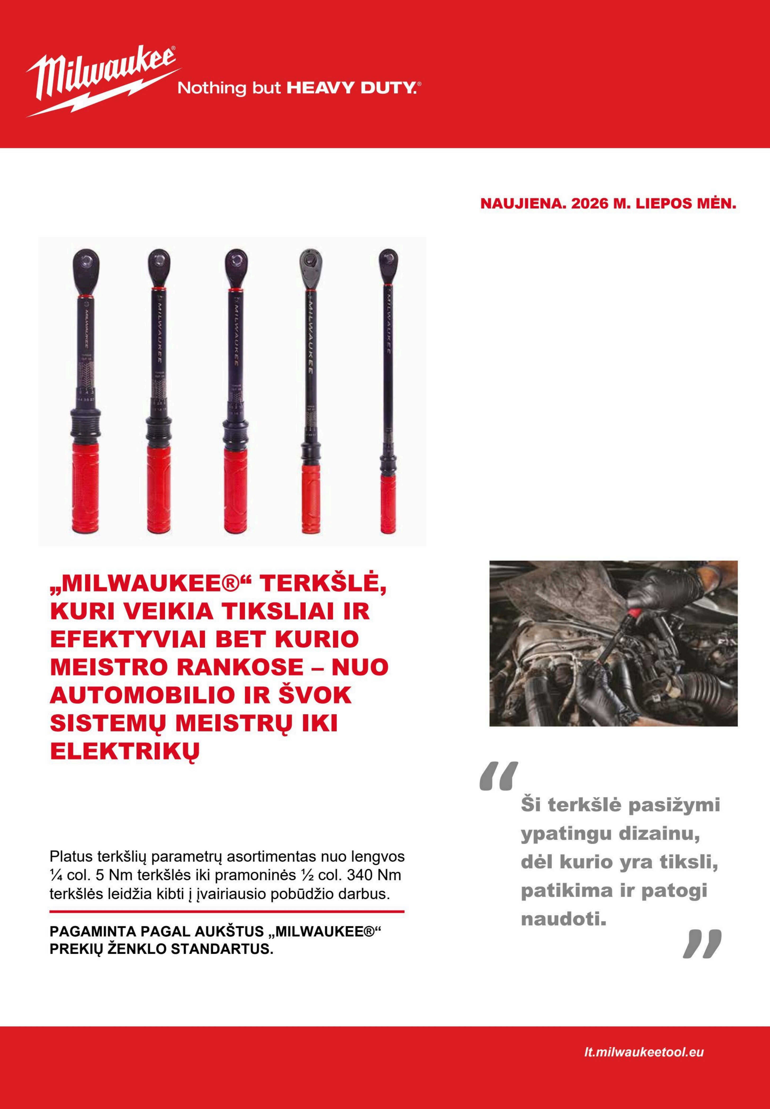 Leidinio puslapis