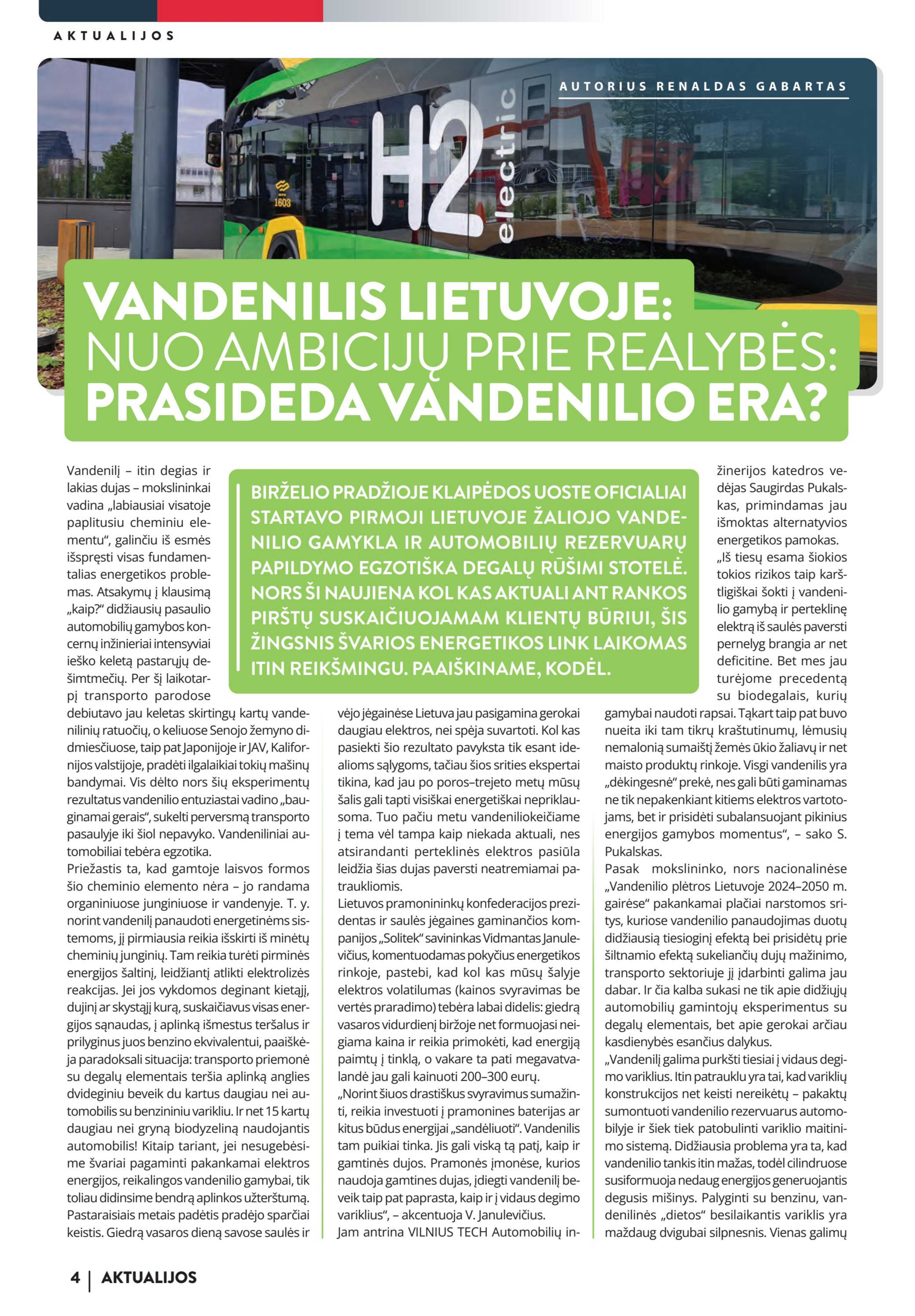 Leidinio puslapis