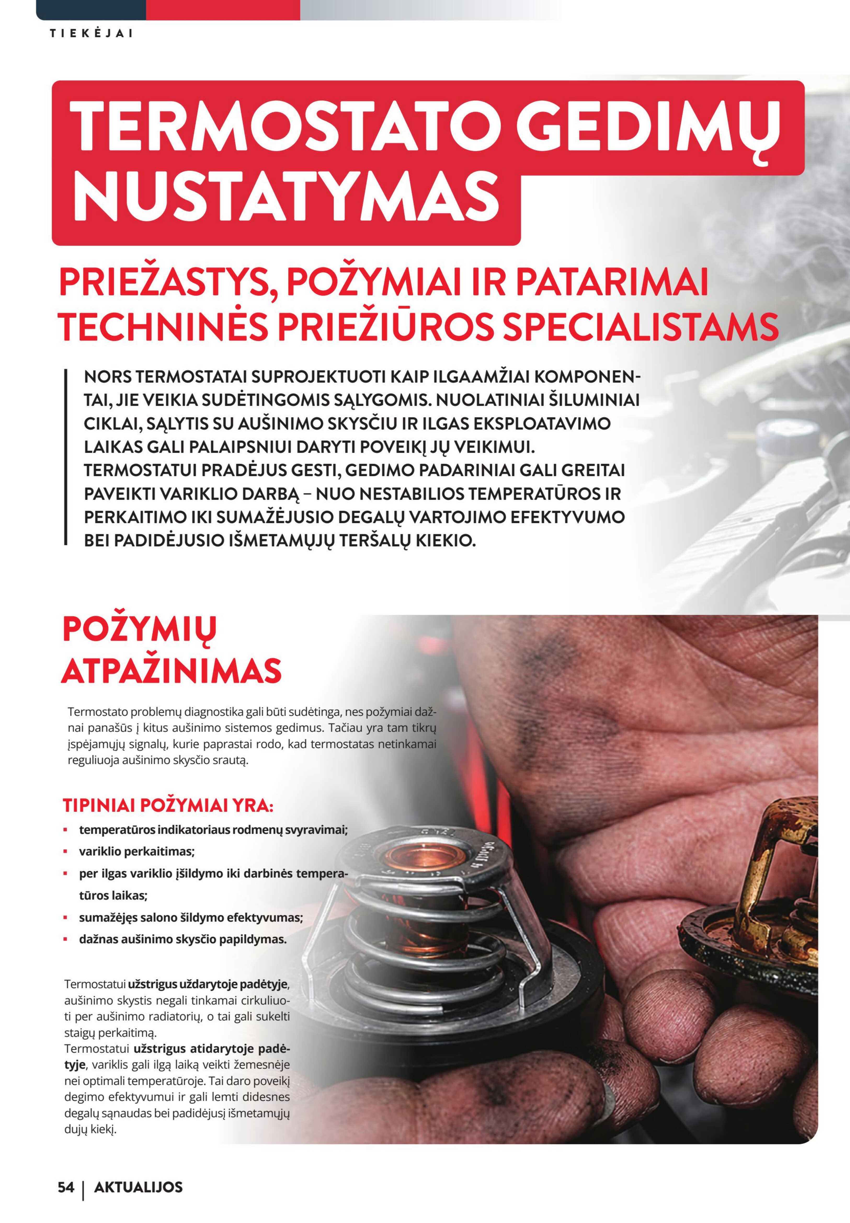 Leidinio puslapis