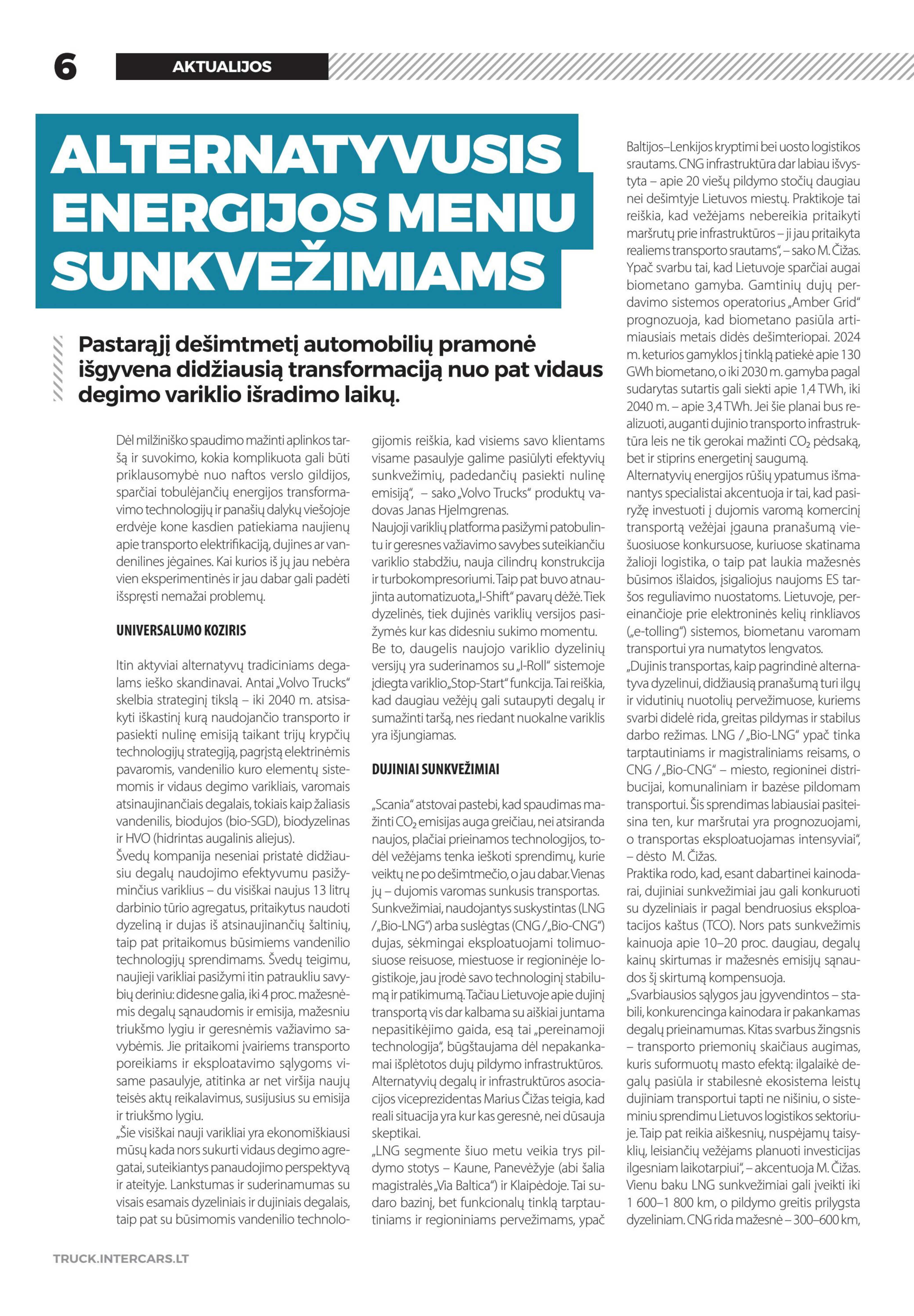 Leidinio puslapis