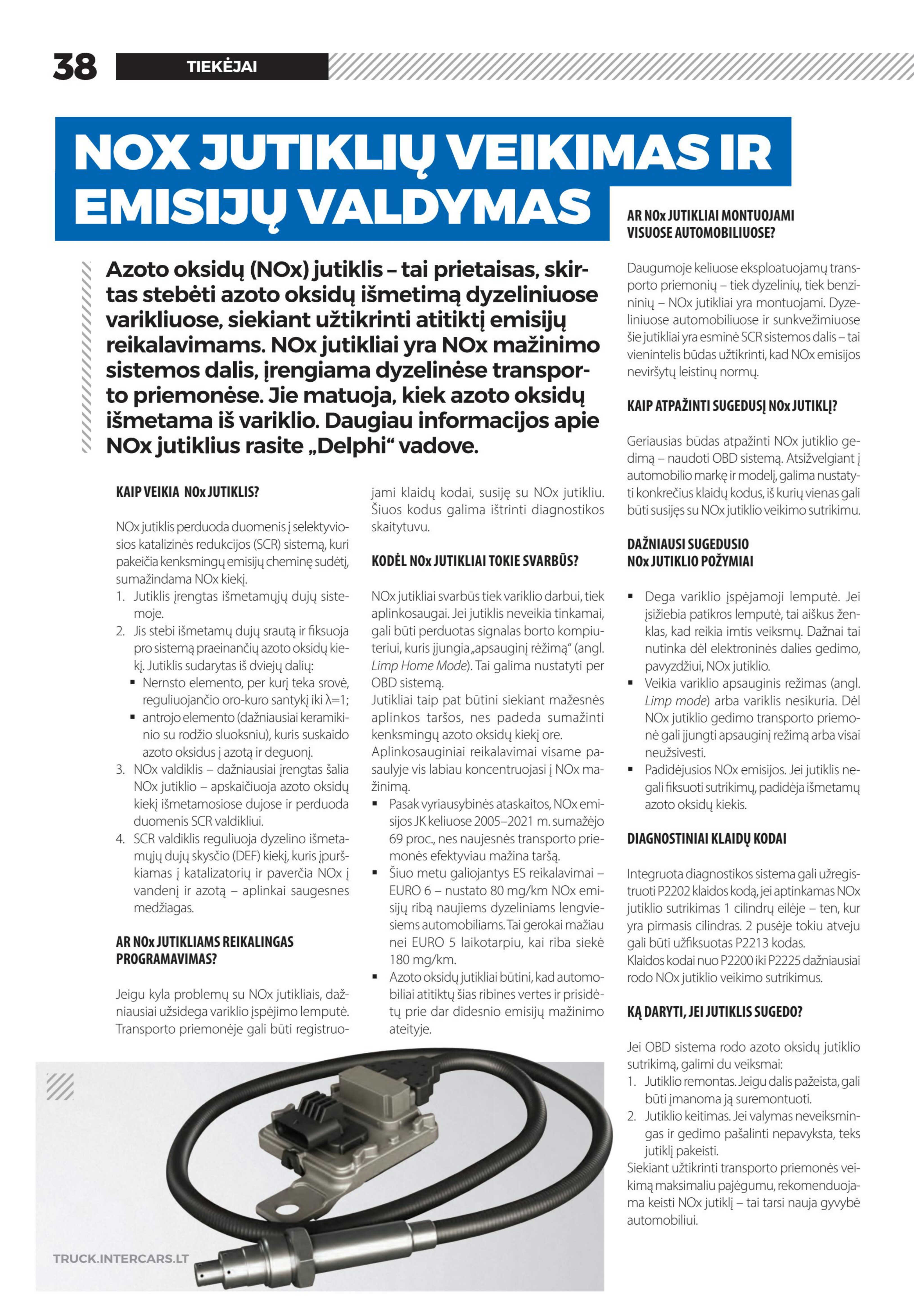 Leidinio puslapis