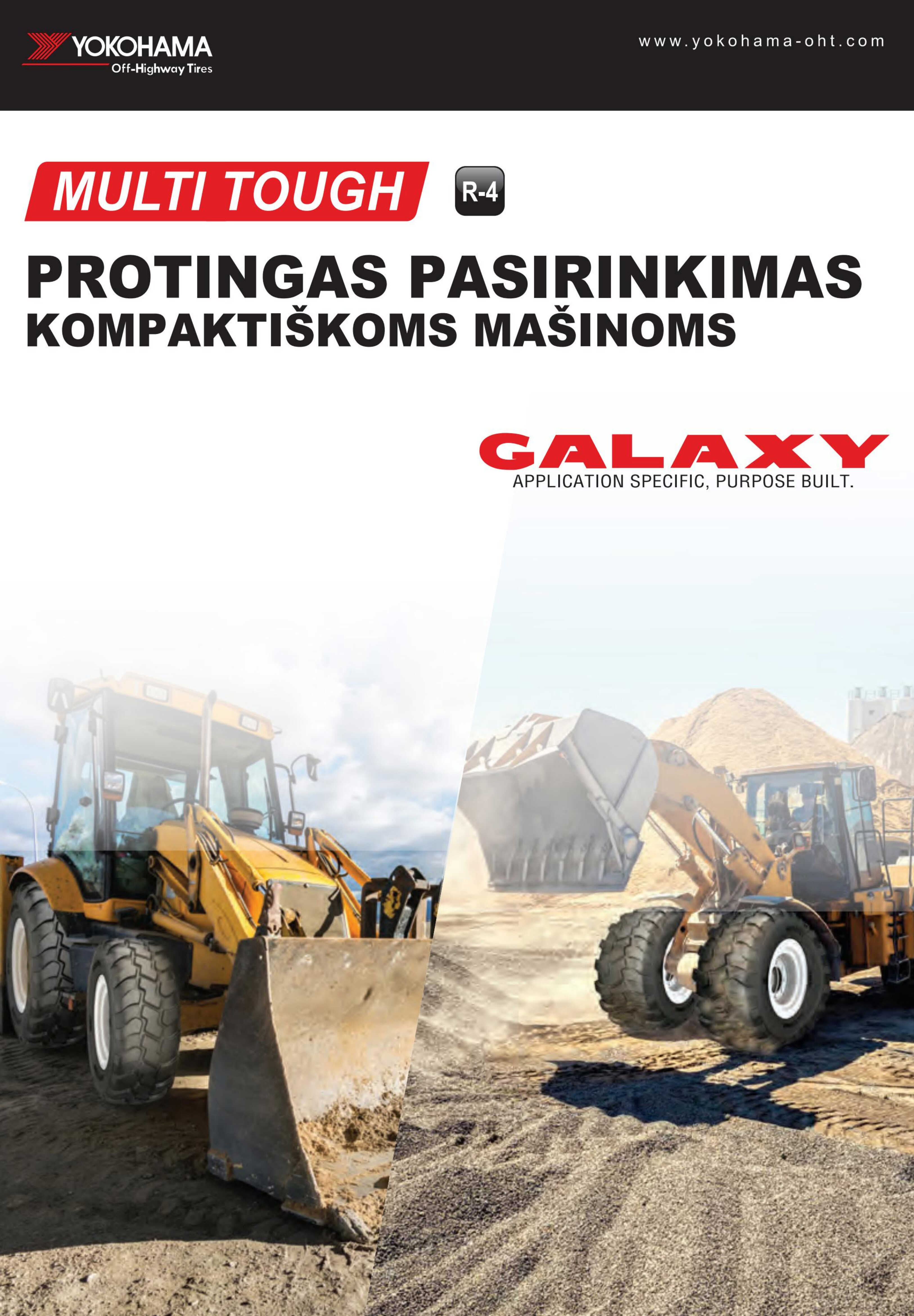 Leidinio puslapis