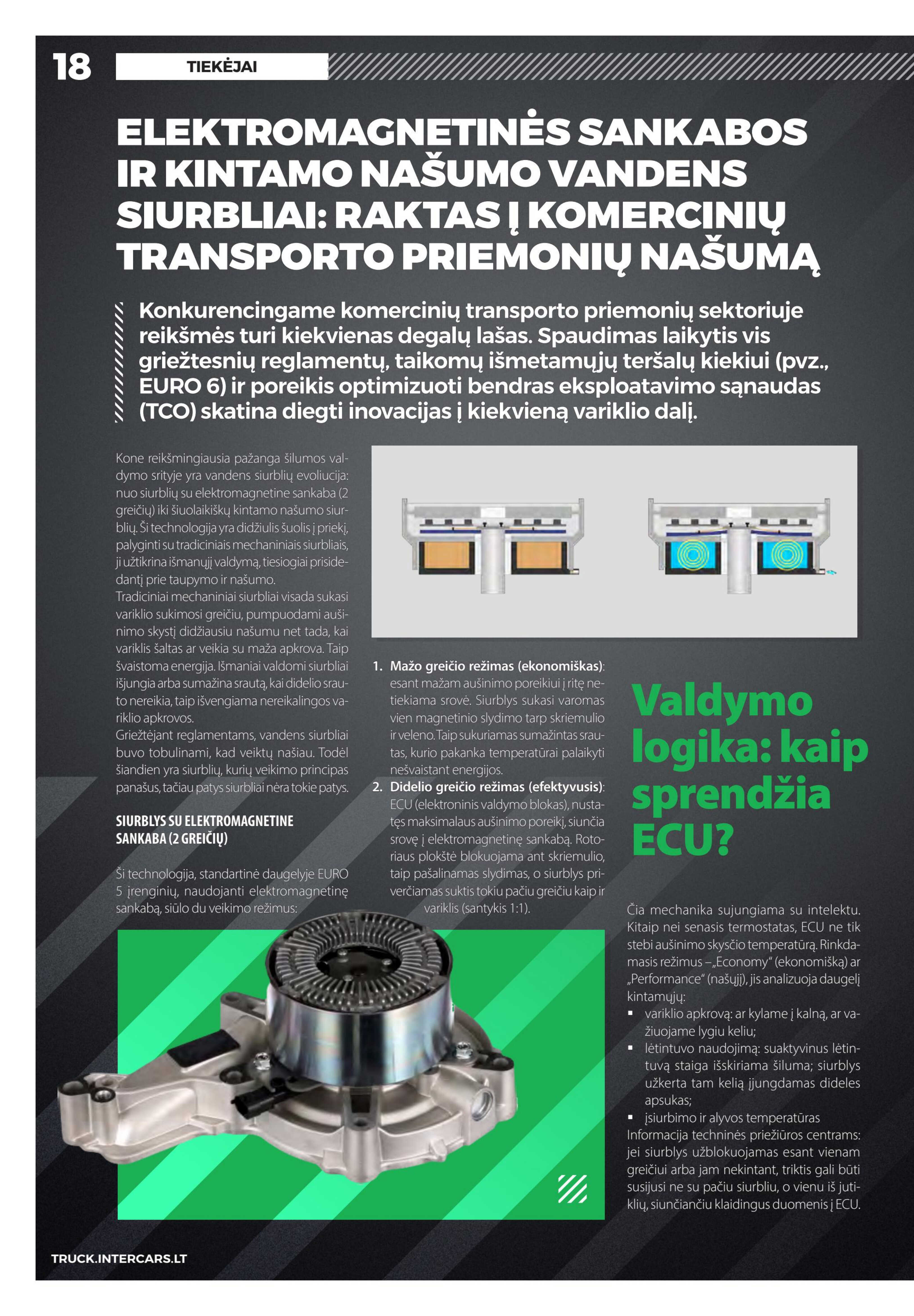 Leidinio puslapis