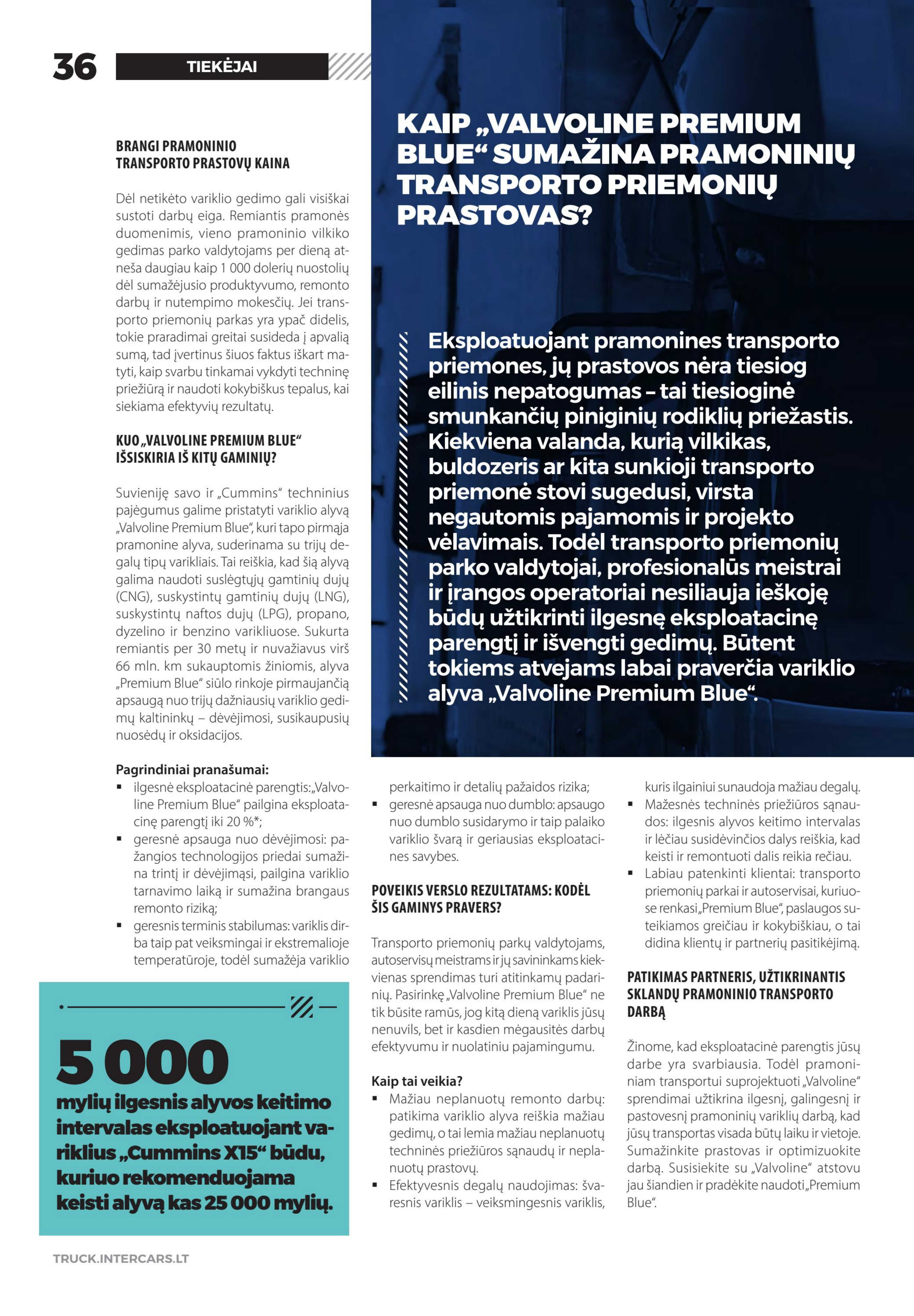 Leidinio puslapis