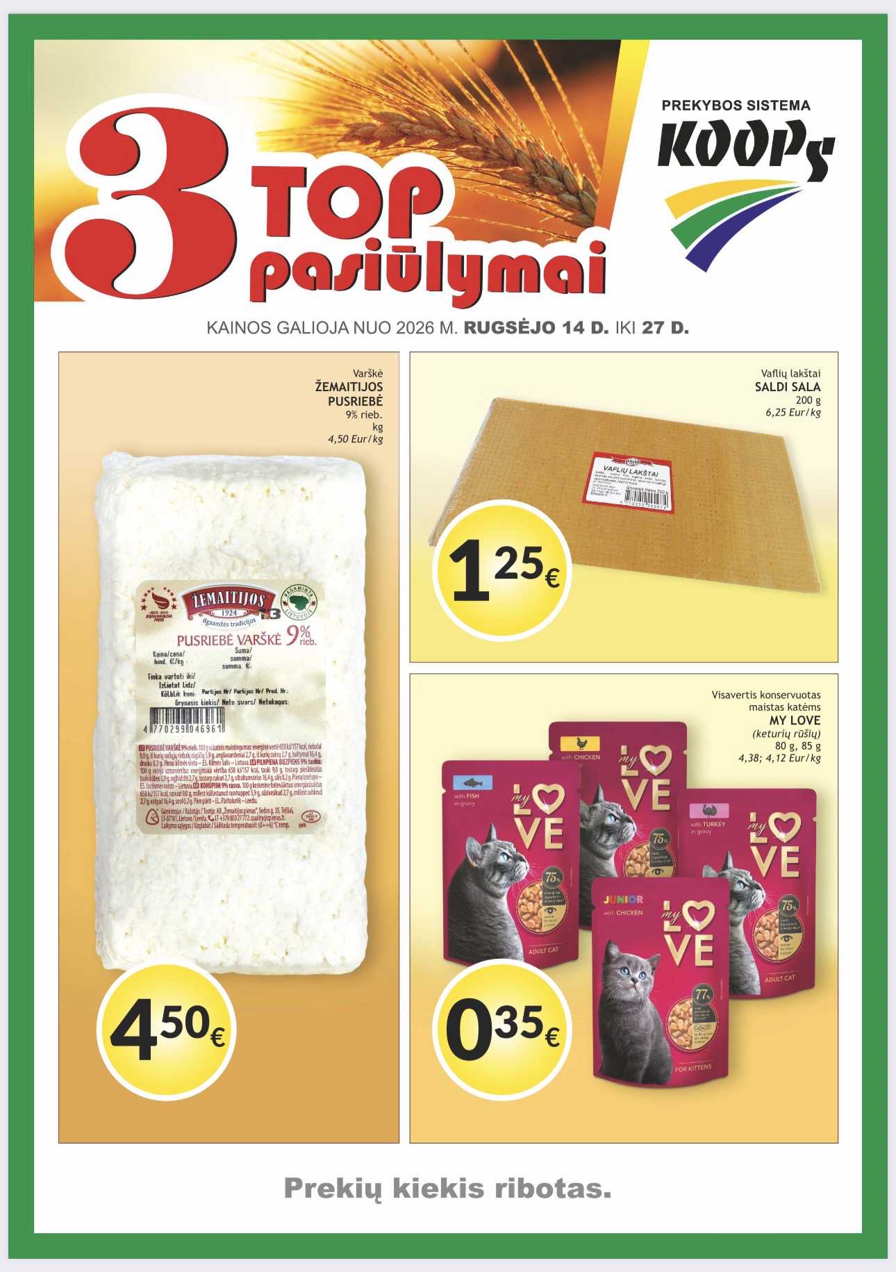 Leidinio puslapis
