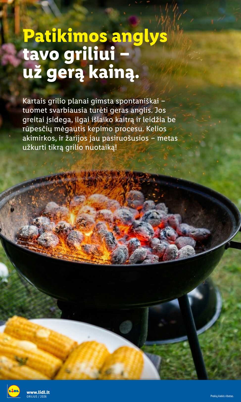 Leidinio puslapis