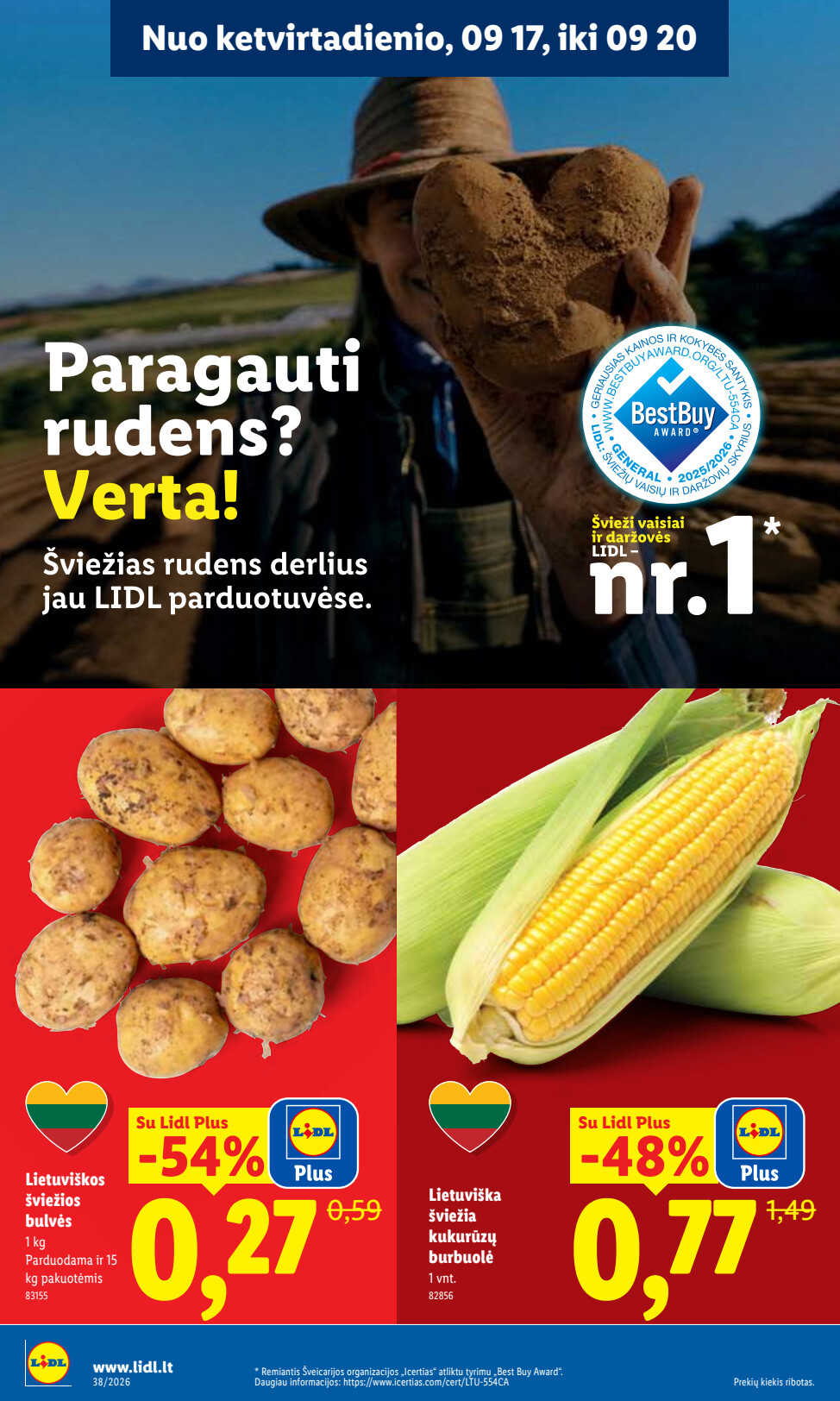 Leidinio puslapis