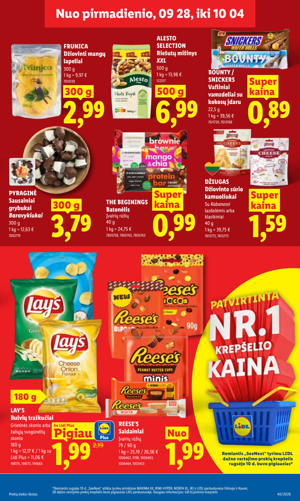Leidinio puslapis