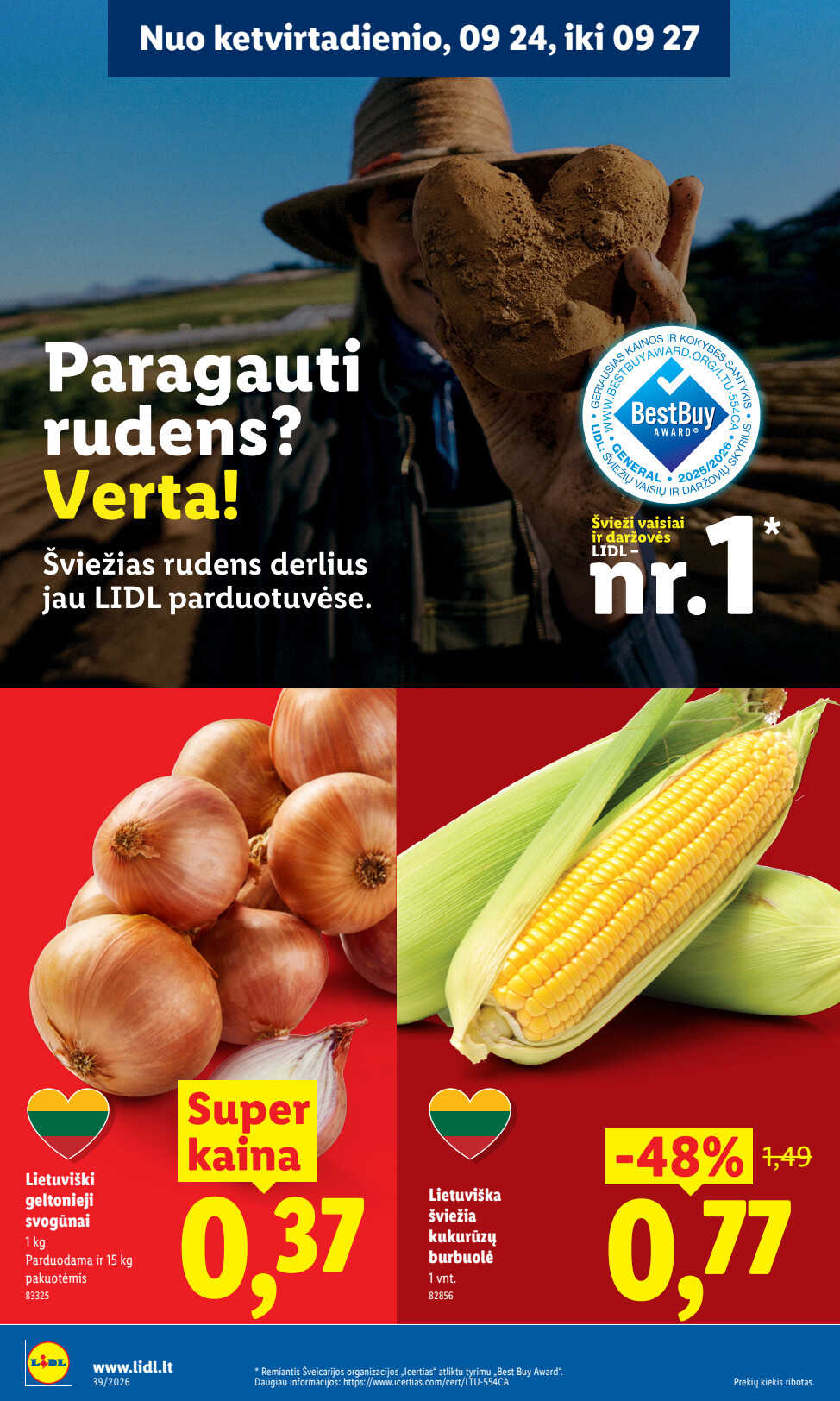 Leidinio puslapis