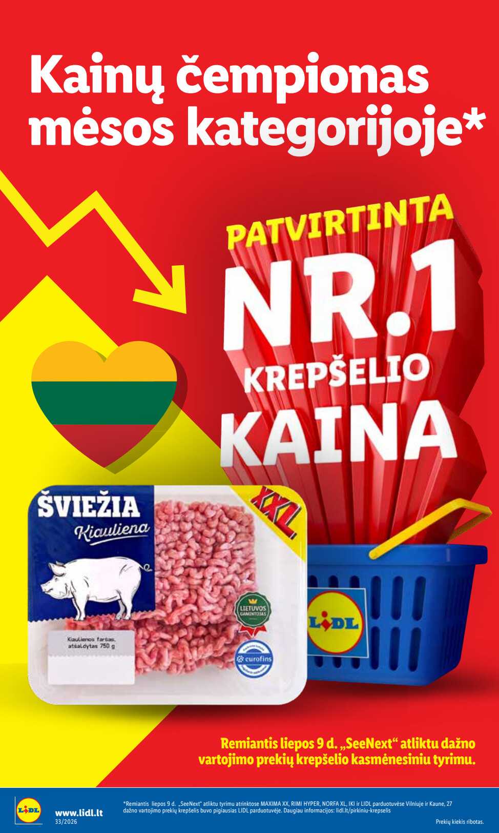 Leidinio puslapis