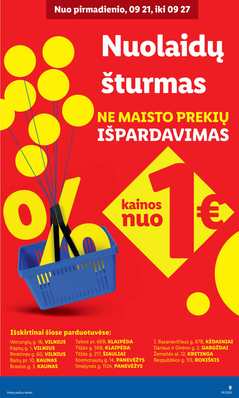 Leidinio puslapis