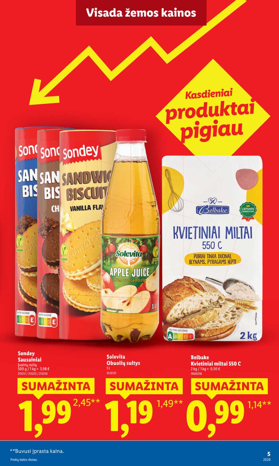 Leidinio puslapis
