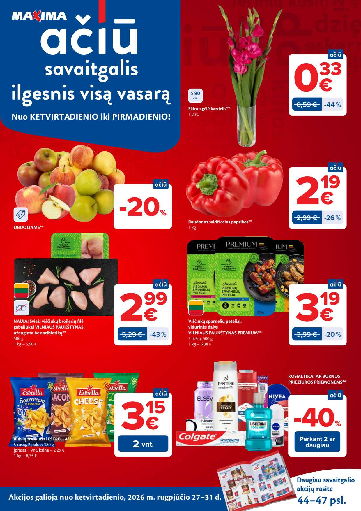 Leidinio puslapis