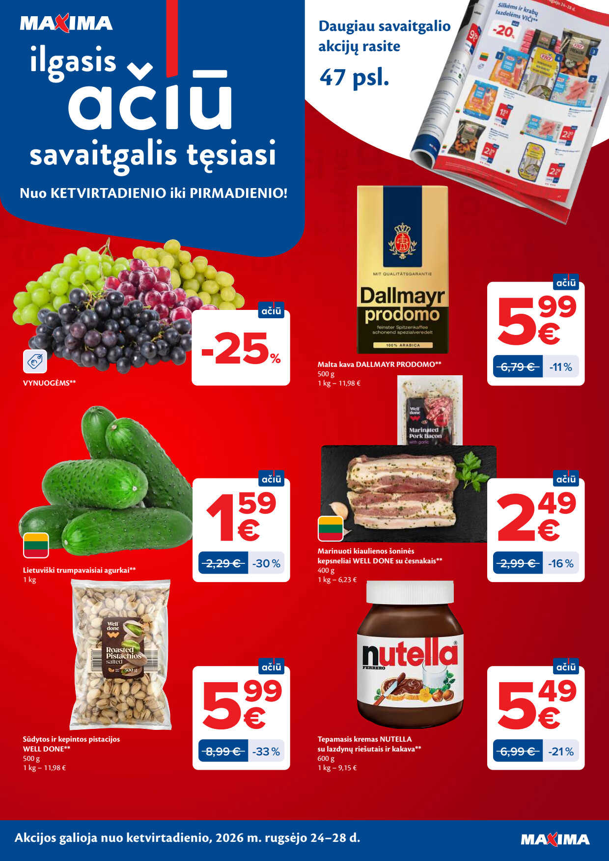 Leidinio puslapis