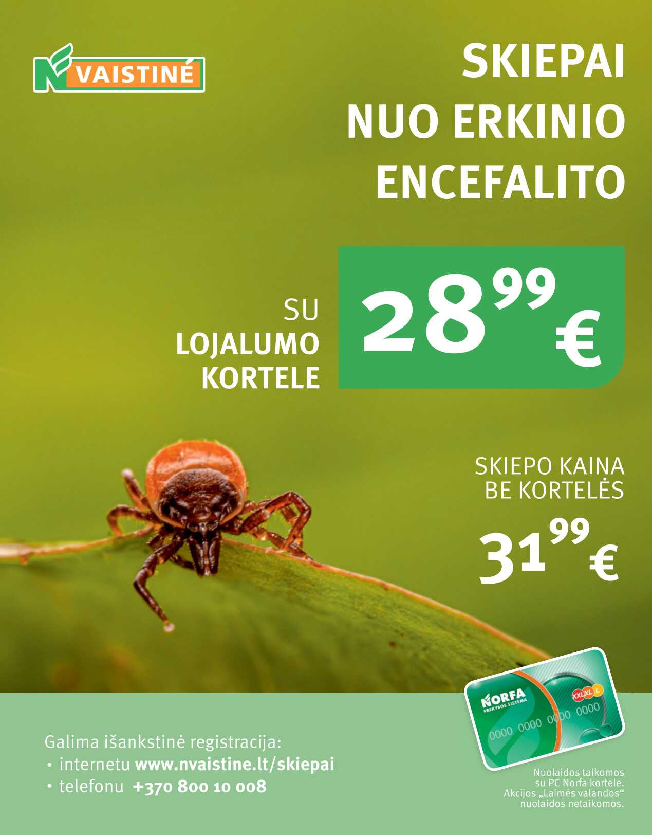 Leidinio puslapis