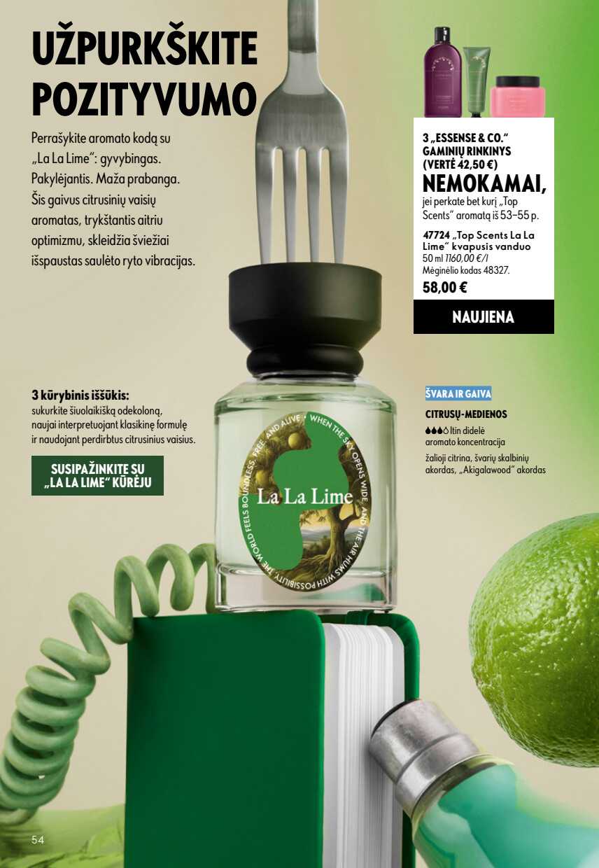 Leidinio puslapis