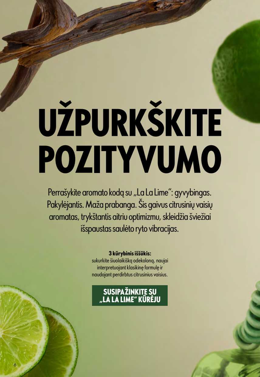 Leidinio puslapis
