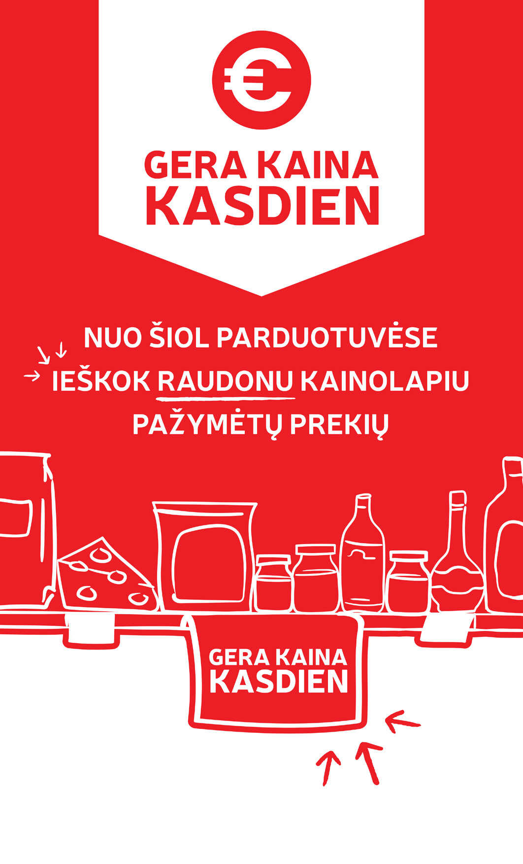 Leidinio puslapis