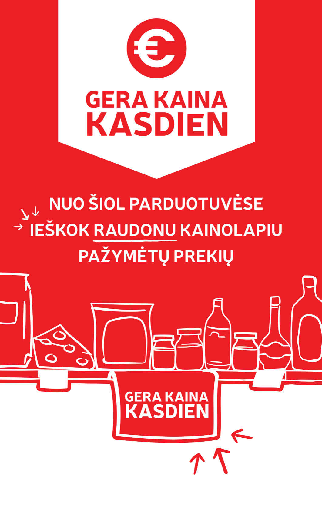 Leidinio puslapis