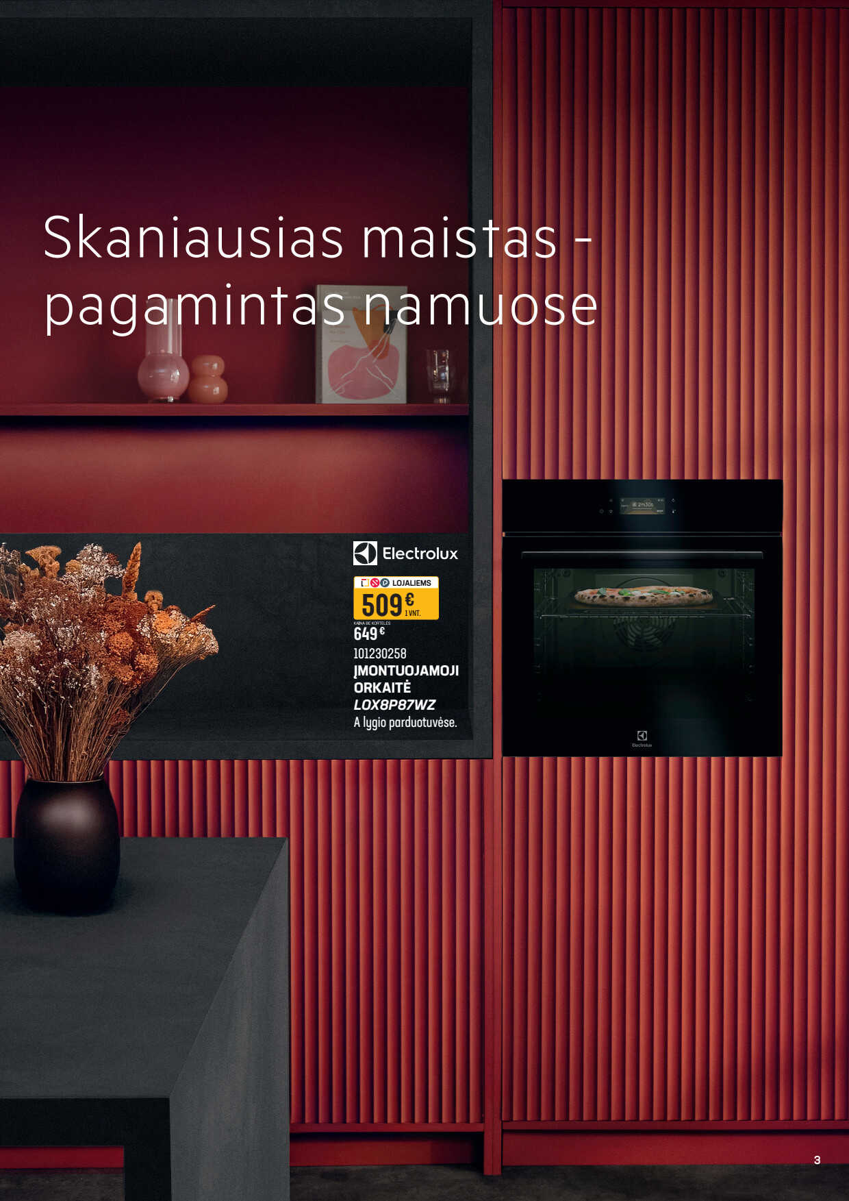 Leidinio puslapis