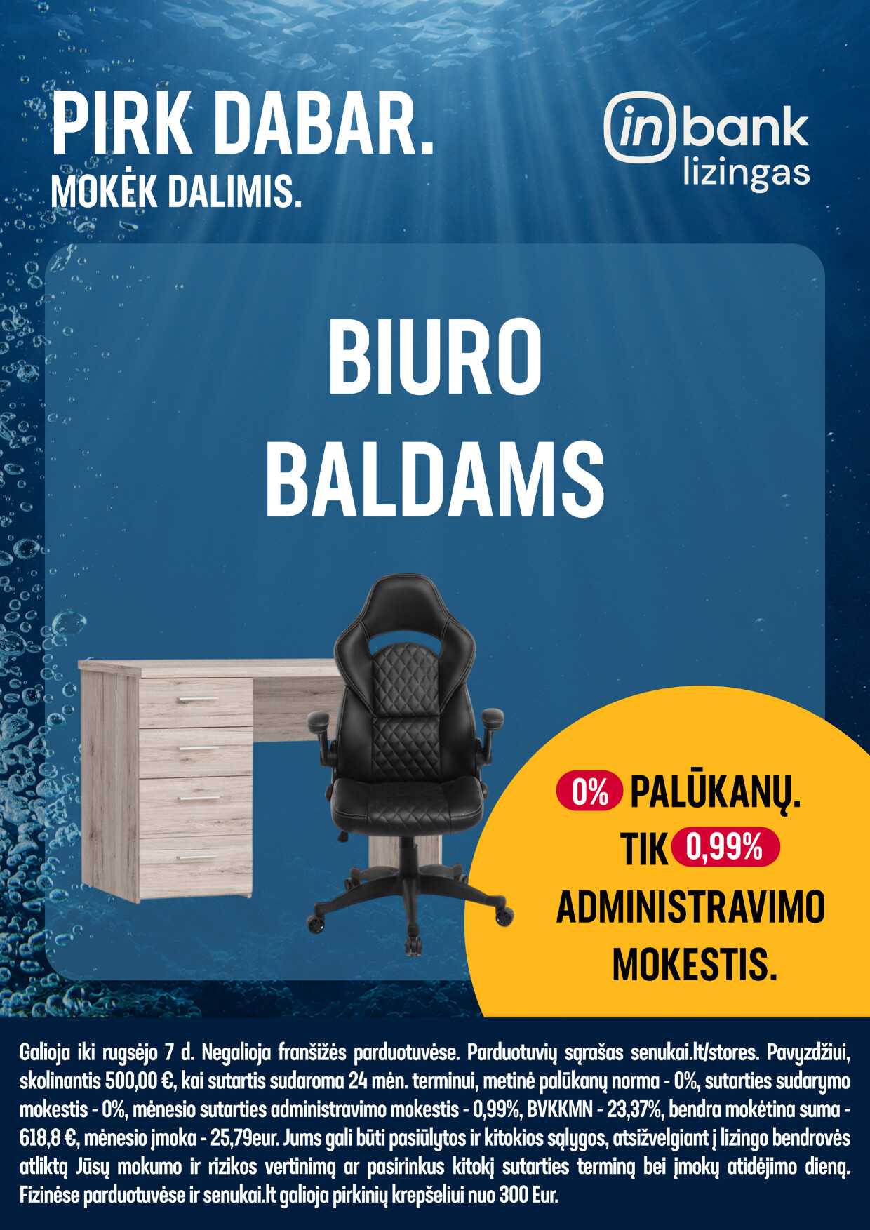 Leidinio puslapis