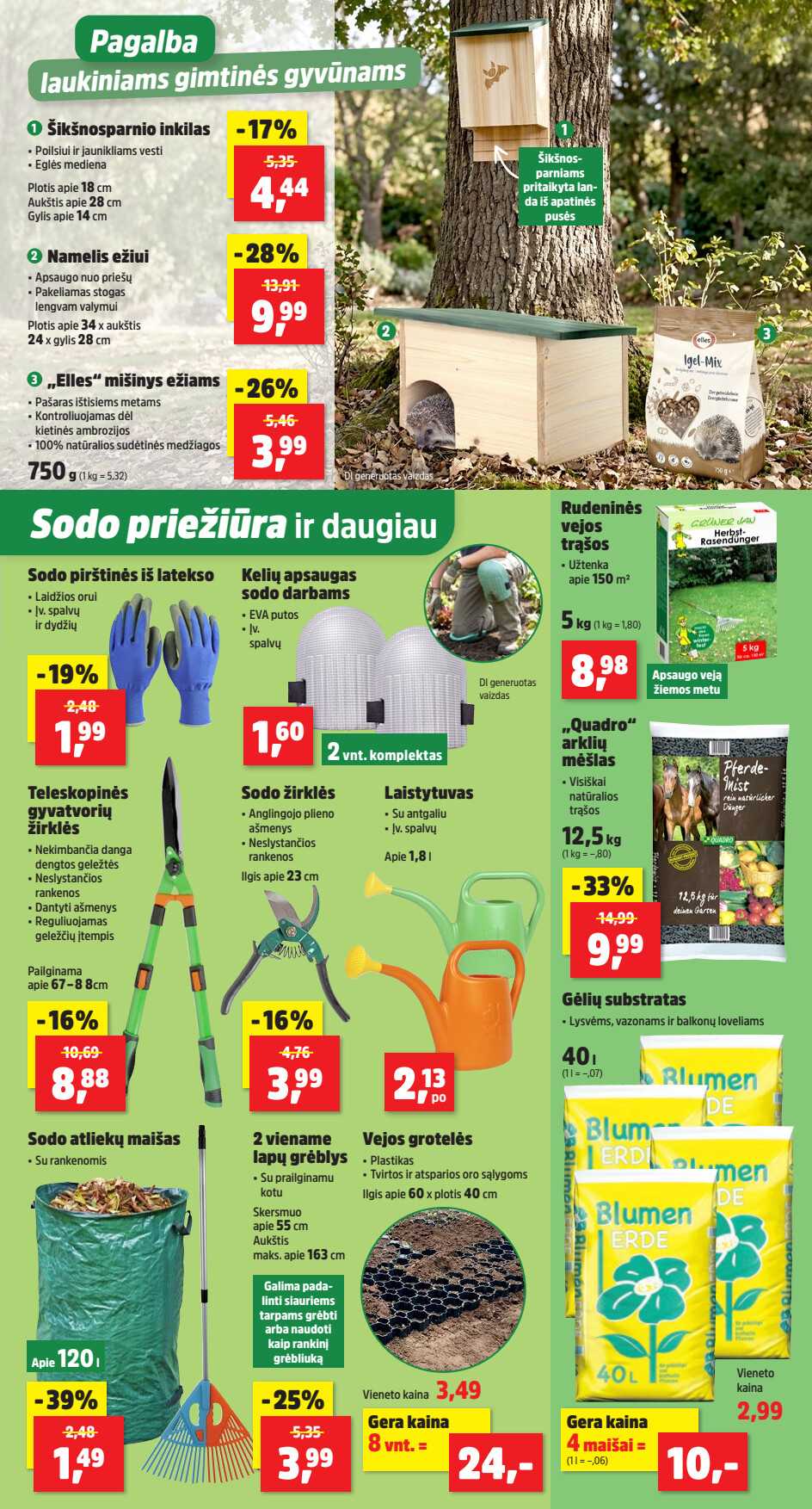 Leidinio puslapis
