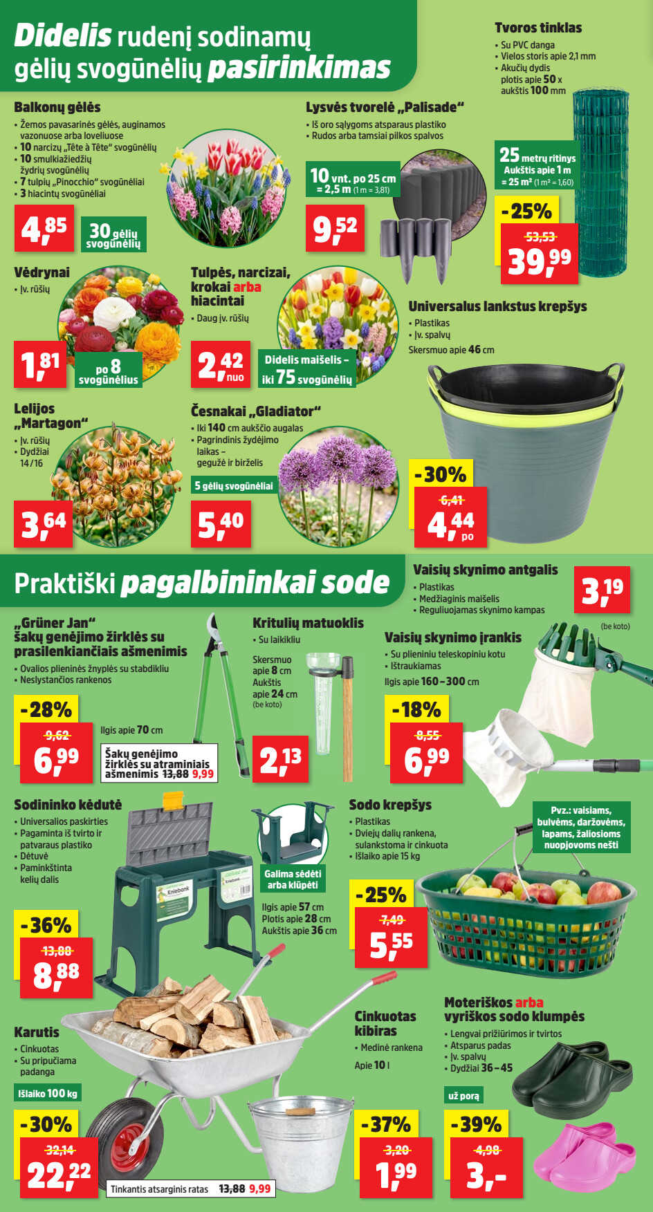 Leidinio puslapis