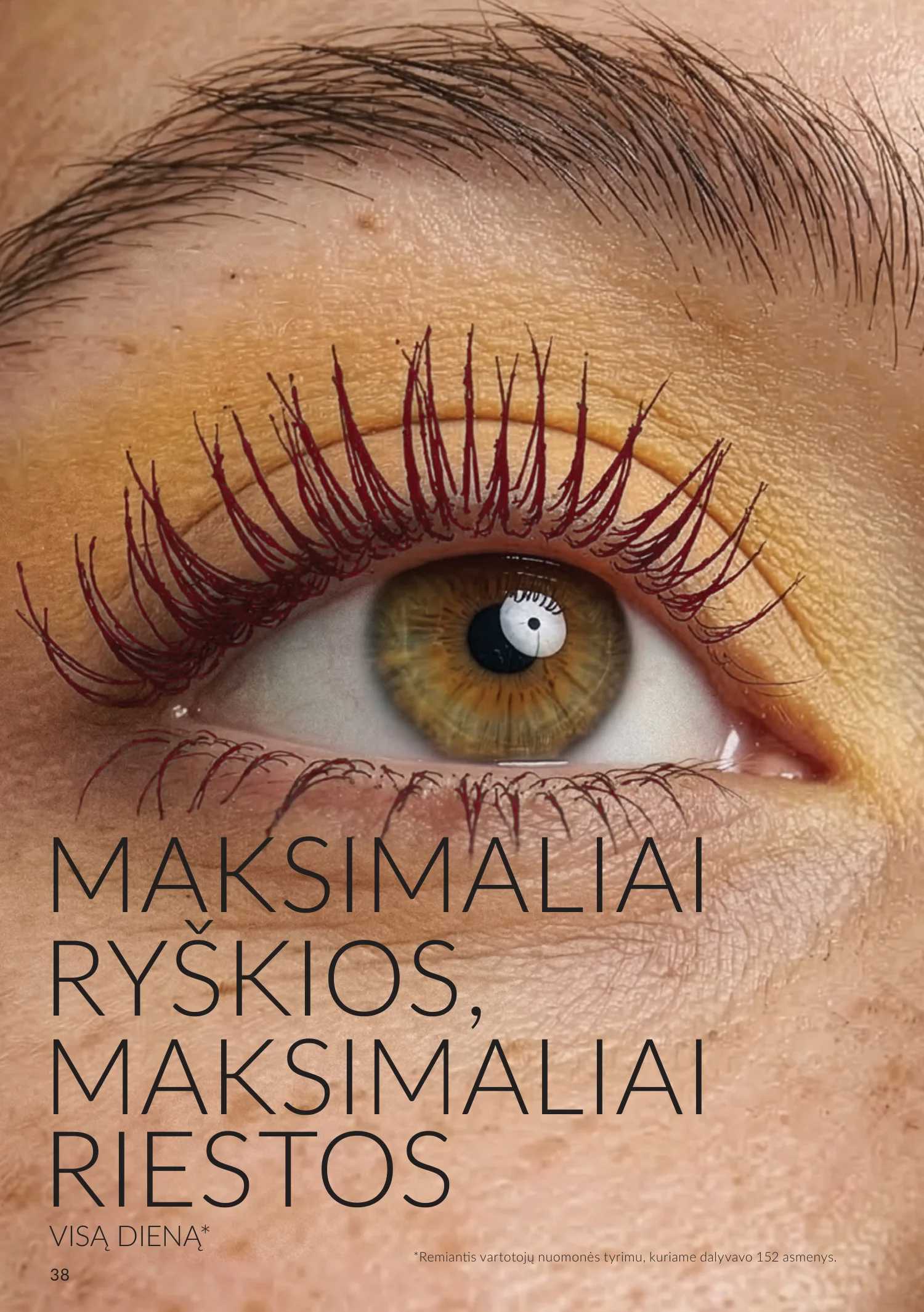 Leidinio puslapis