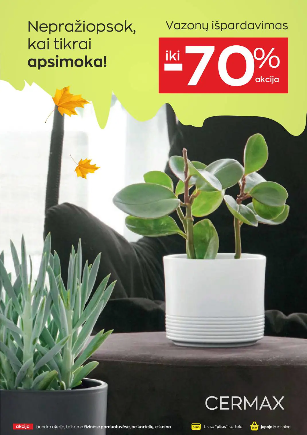 Jupoja akcijų leidinys, galioja nuo spalio 8 d. iki lapkričio 4 d., 9 puslapis: Vazonų išpardavimas iki 70%
