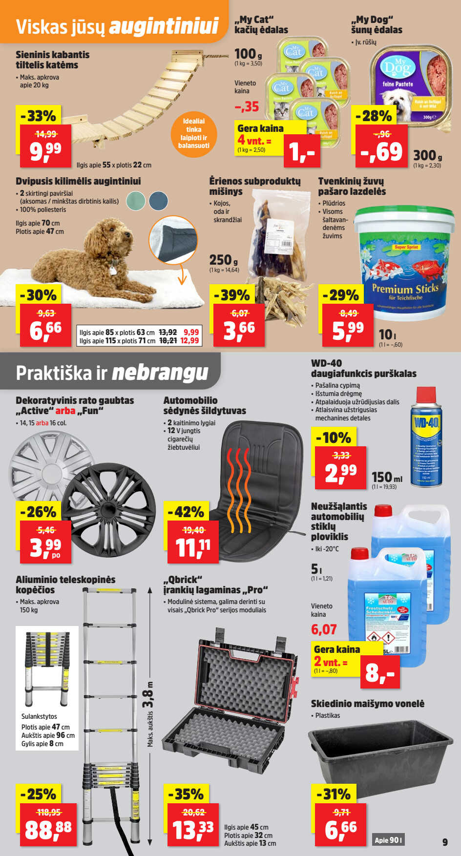 Leidinio puslapis